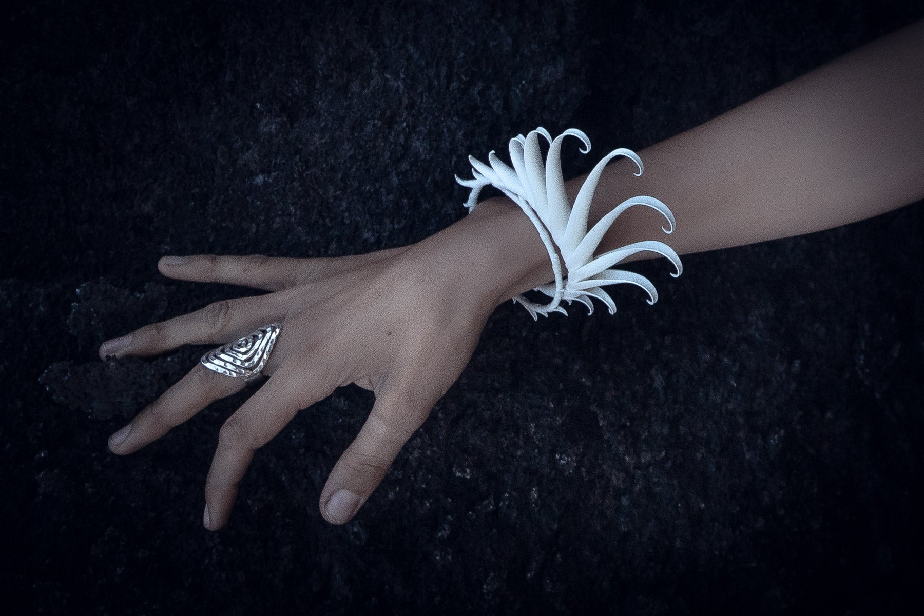 Multiplume Bracelet (White) - Zoa Chimerum