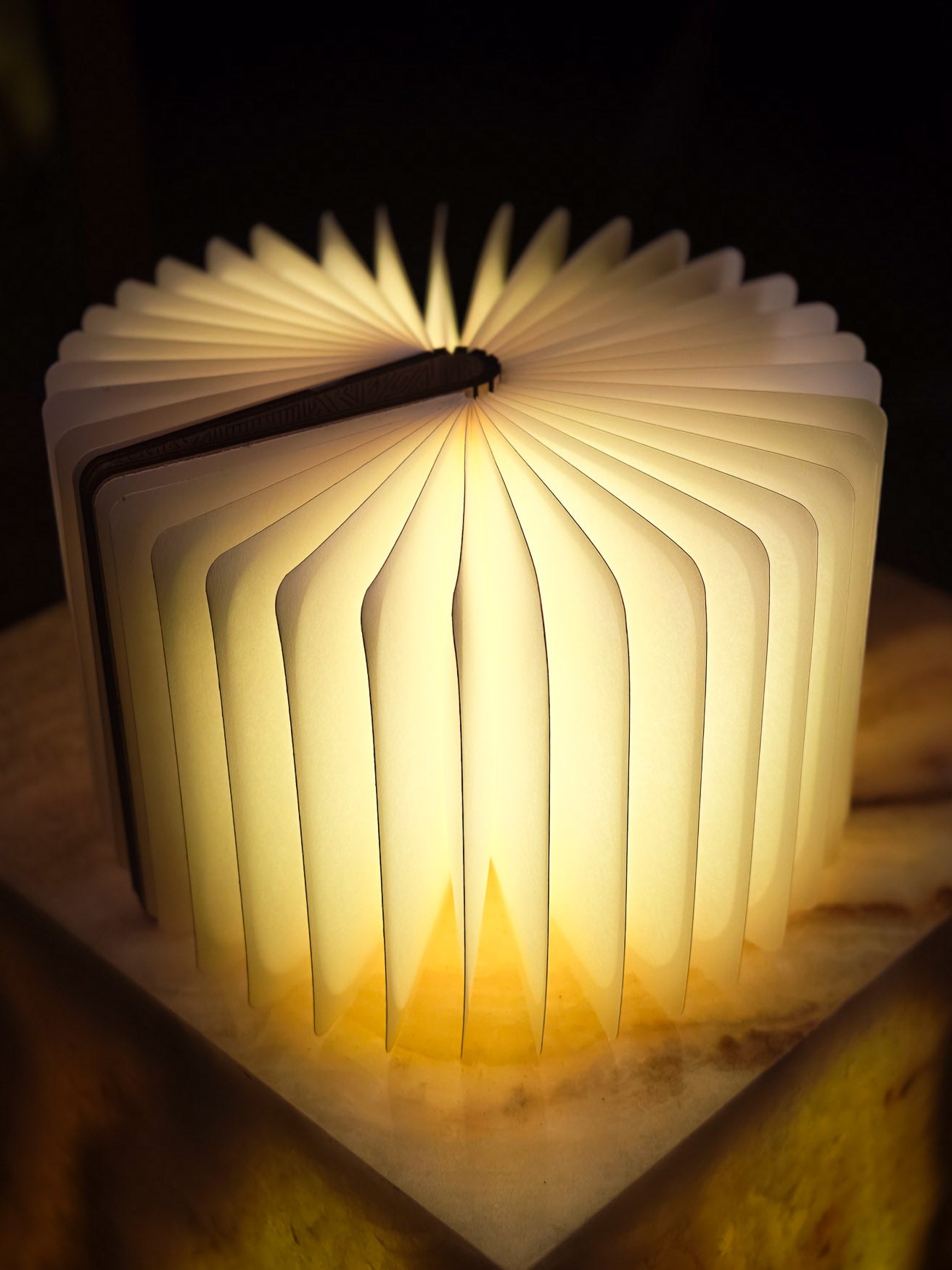 Light is Key Lamp Book (Leo Power)