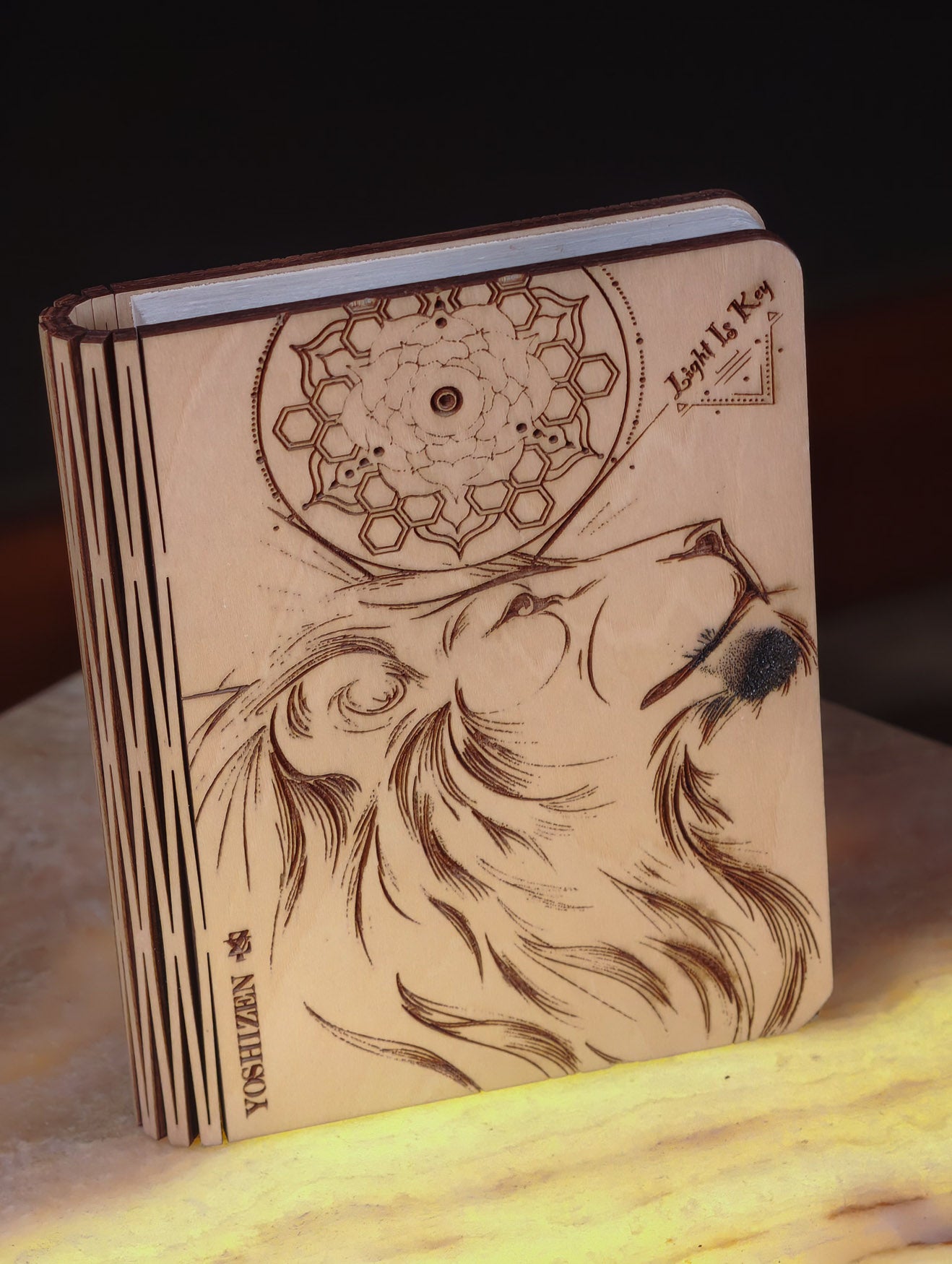 Light is Key Lamp Book (Leo Power)