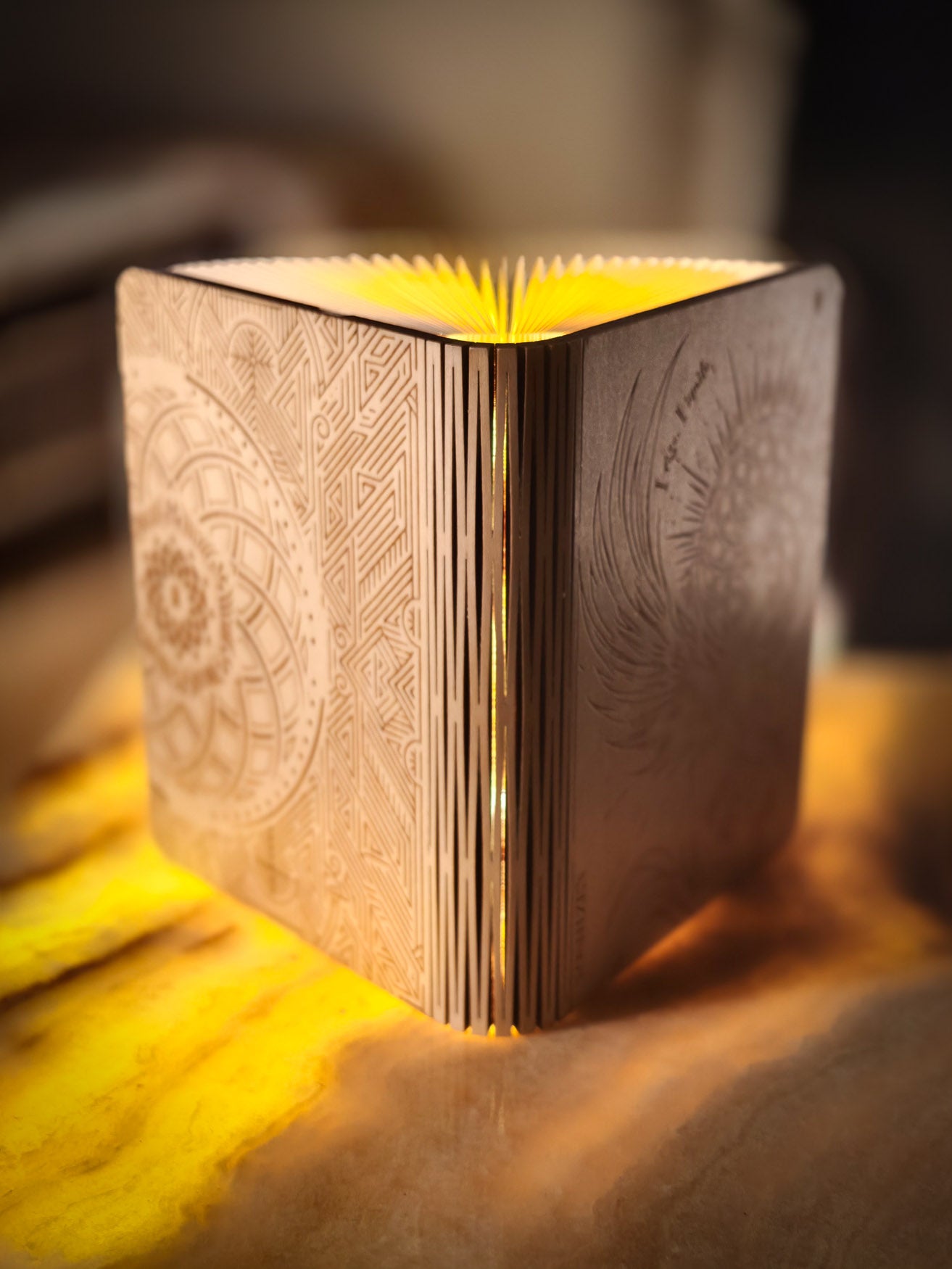 Light is Key Lamp Book (Phoenix Rising)