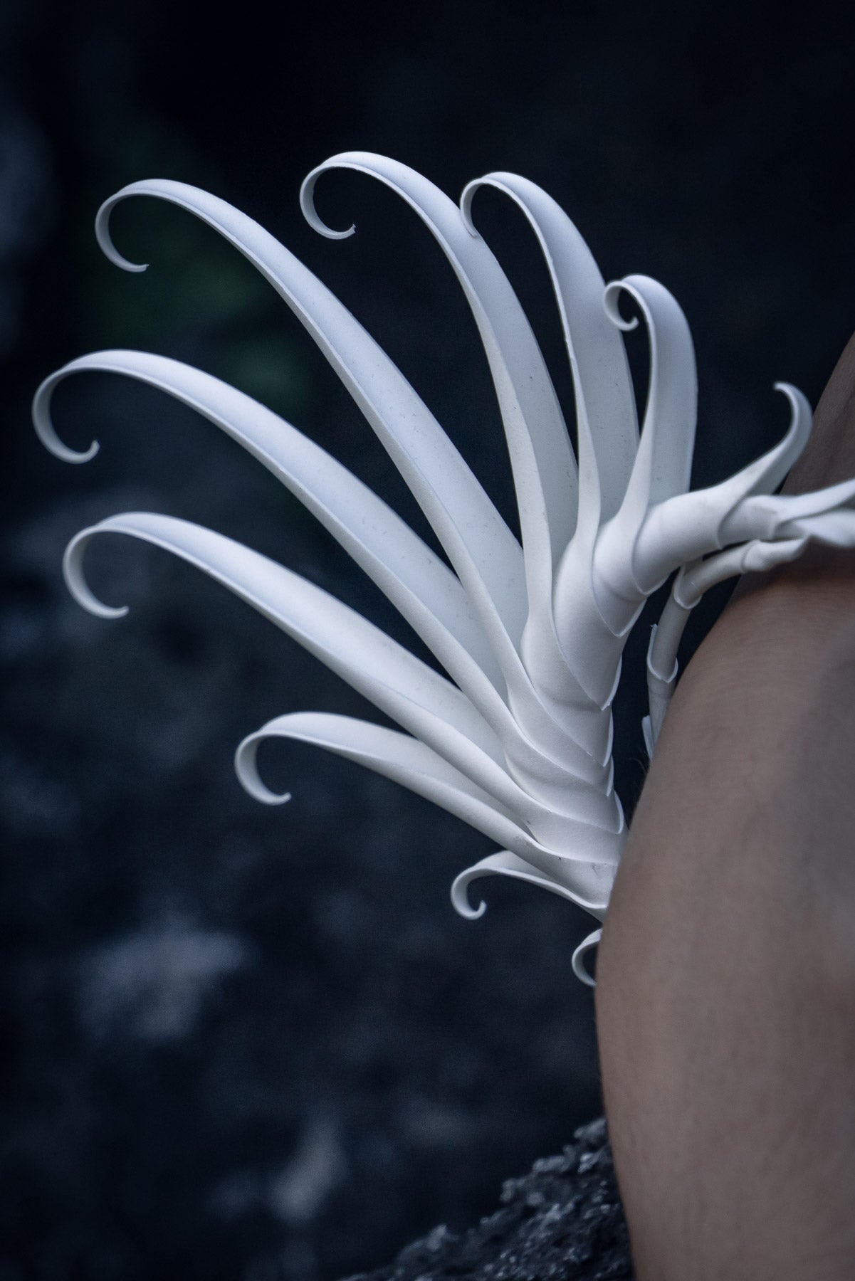Multiplume Bracelet (White) - Zoa Chimerum
