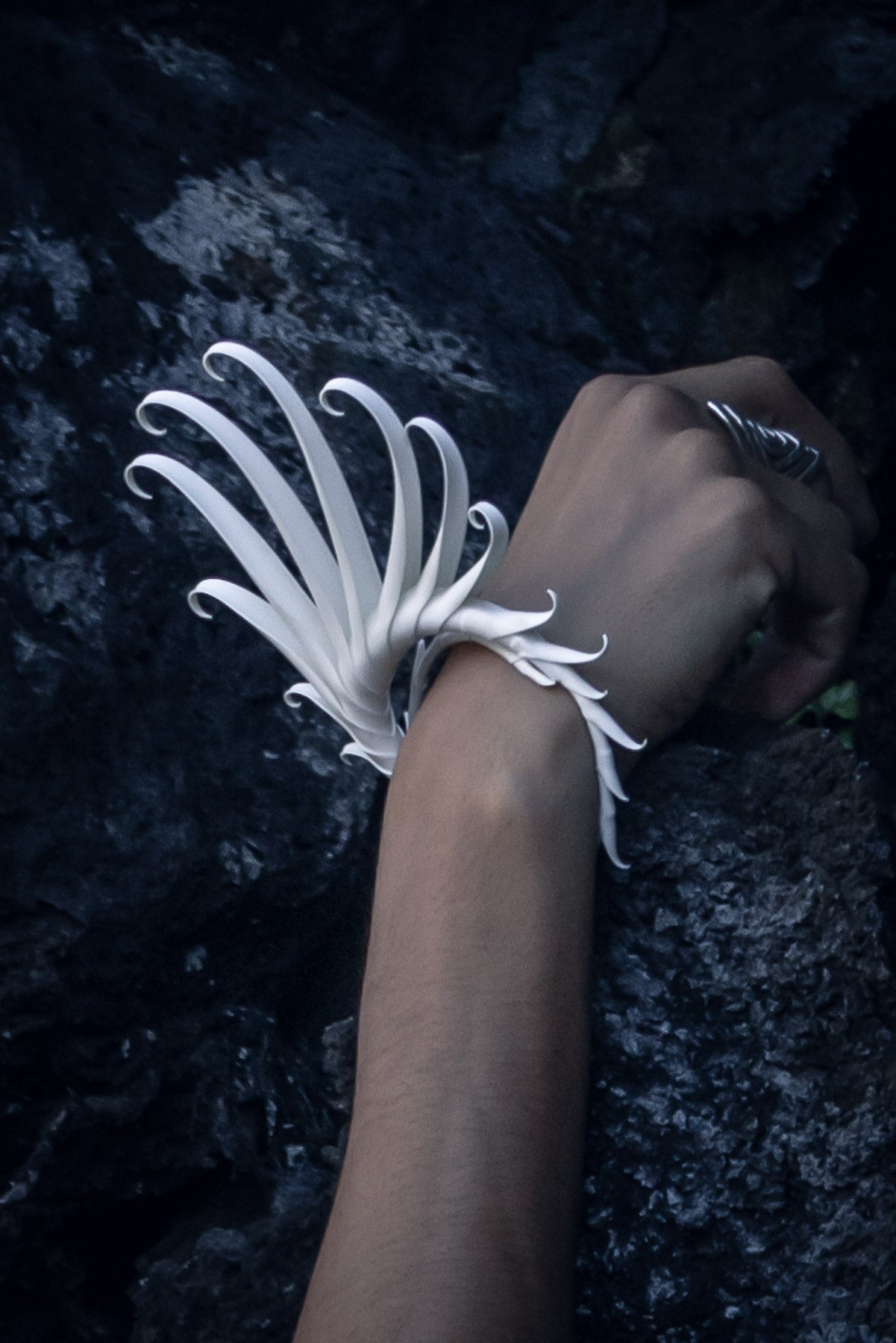 Multiplume Bracelet (White) - Zoa Chimerum