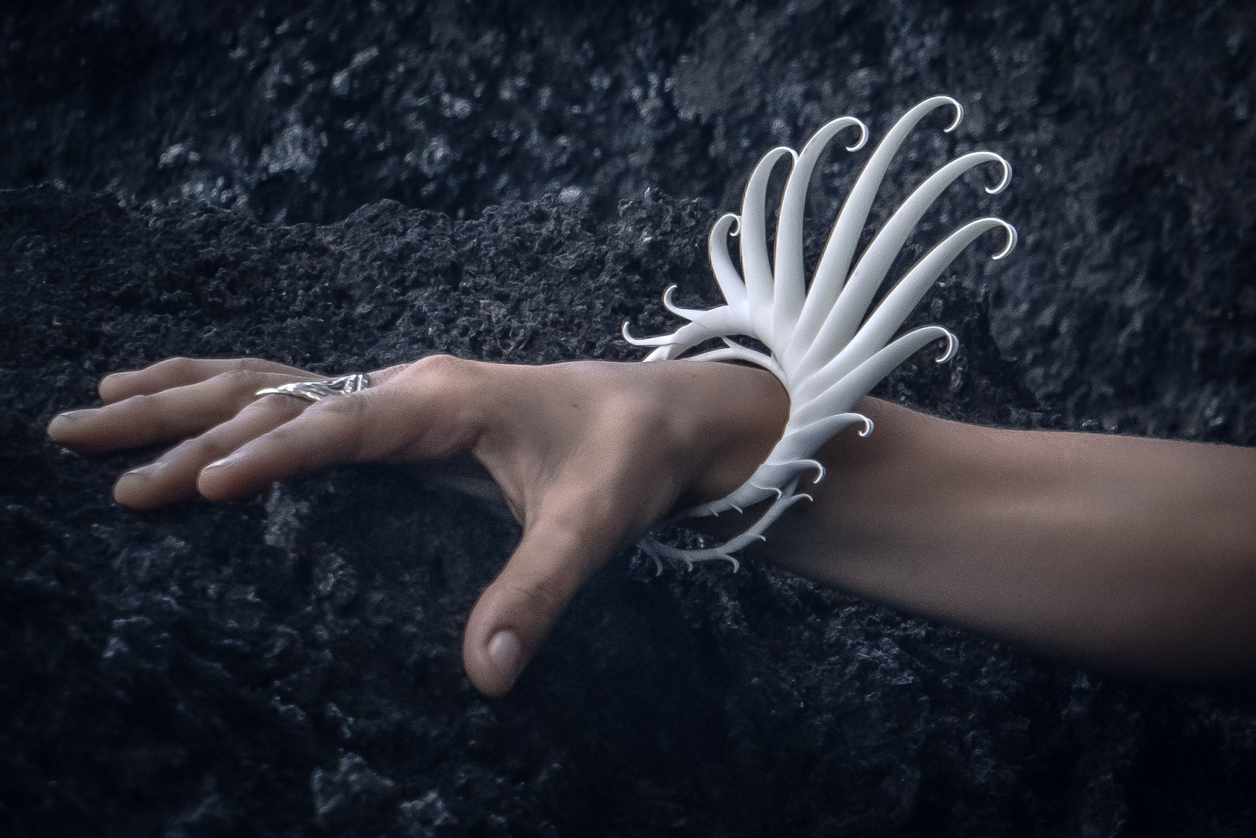 Multiplume Bracelet (White) - Zoa Chimerum